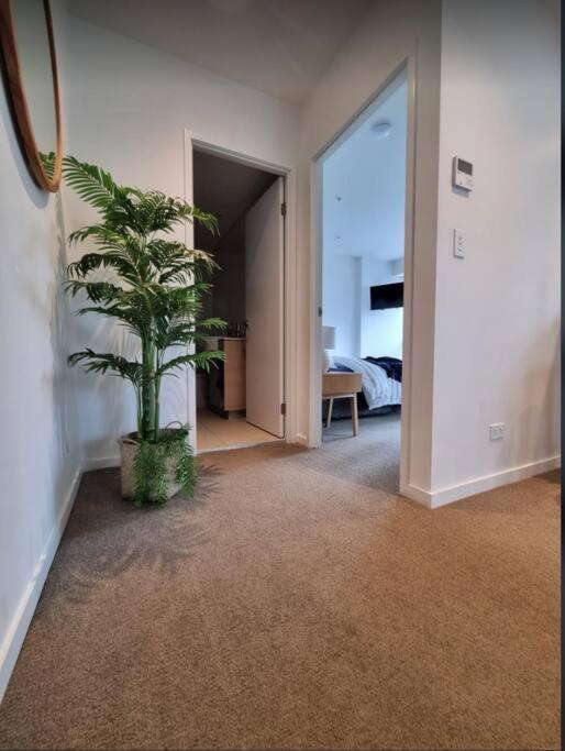 Broadbeach Stunner Modern And Central Gold Coast Bagian luar foto